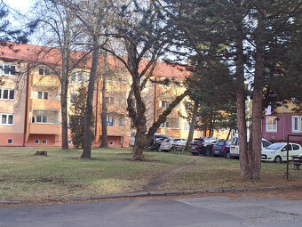 OD VLASTNÍKA - 1. izbový byt širšie centrum, Martin - 12