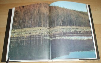 Černý sobol, hnědý medvěd - 12