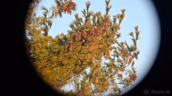 Ďalekohľad BPC 10X50 TENTO - 12