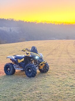 Can am renegade 800R 2008 - 12