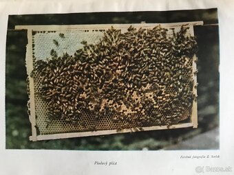 Koloman Novacký: Včelárstvo (1955) - 12