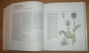 Atlas Liečivých rastlín a lesných plodov - 12