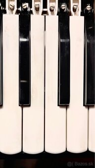 Harmonikár, Akordeonista, Oprava akordeónu - 12