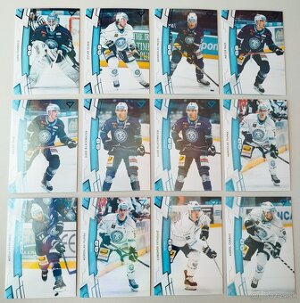 Hokejové kartičky TIPOS EXTRALIGA 2024/2025 - HK NITRA - 12