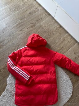 Adidas bunda - 12