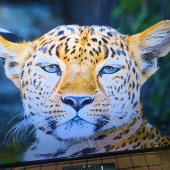 Thomson 4k 55 led lcd tv - 12