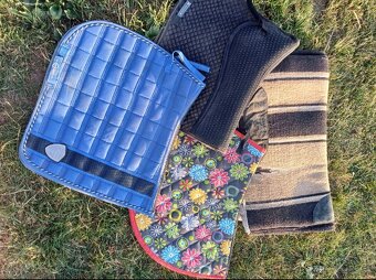 Kentaur, Equiline, F.R.A... - 12