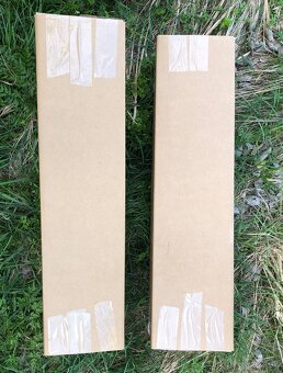 Sibírsky Céder / Pinus Sibirica sadenice - 12