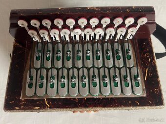 HELIGONKA  KEBRDLE - 12