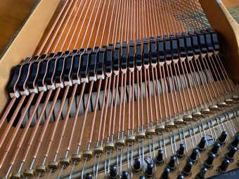 Klavír - křídlo August Förster - 12