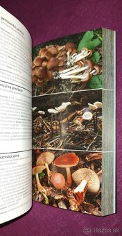 1000 slovenských a českých húb - 12