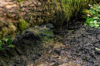 Pozemok v lone prírody s potôčikom– ideálny pre vašu vysníva - 12