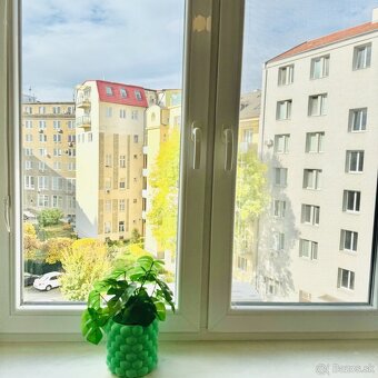 Prenájom 3 izbového bytu po kompletnej rekonštrukcii - 12