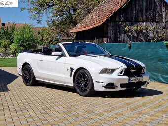 Mustang Facelift Convertible - 12