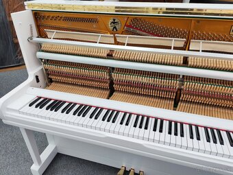 Hohner Jedinečná kvalita dovoz celá SR - 12