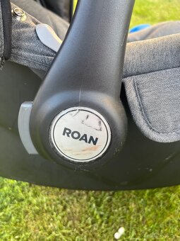 Kočík Roan bloom - 12