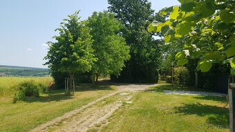 Predám dva vinohradnícke domy s pozemkami medzi vinohradmi p - 12