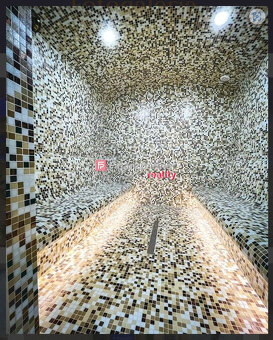 Wellness Detva + 9x Byty rozloha 900m2 - 12