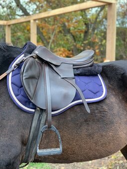 Skokové sedlo - Barnsby - 12