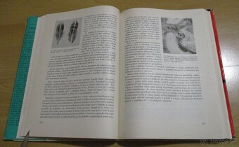 Chov drobné zvěře - 12