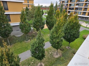 REZERVOVANÉ - PRENÁJOM 2-izbový apartmán NOVÝ RUŽINOV - 12
