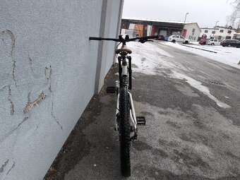 Specialized Big Hit (2010) - 12