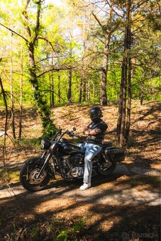 Kawasaki Vulcan 1600 Classic - 12