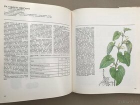 Izbové rastliny, Herbár, Atlas liečivých rastlín a lesných - 12