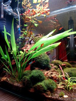 Akvárium NanoCube Dennerle 60l - 12