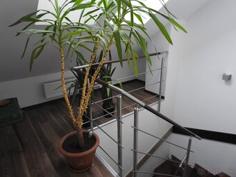 Vysoké Tatry - Apartmány Nový Smokovec 57 - 12