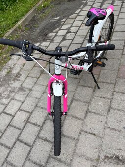 Kellys bicykle - 12