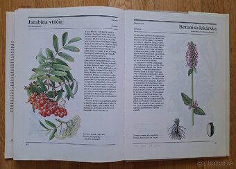 Velka kniha liecivych rastlin - 12