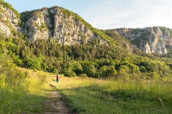 Canon 200D + 17-50mm f/2.8 + taška (rezervovaný) - 12