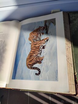 Dve stare knihy - 12