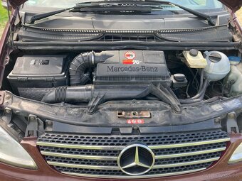 Mercedes Viano - 12