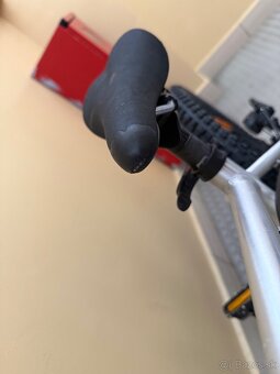 Early Rider seeker 20 - 12