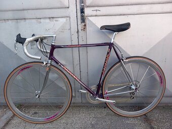 Vintage daccordi - 12