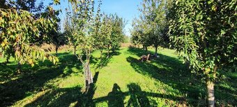 VIDIECKÝ DOM S LETNOU KUCHYŇOU - 12