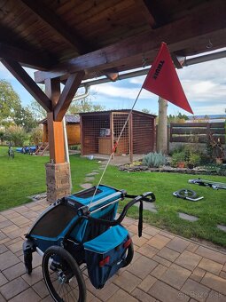 Cyklovozik Thule + ski set Thule - 12