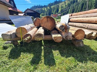 Staré drevo - guľatina, hranoly, foršty, dosky - 12