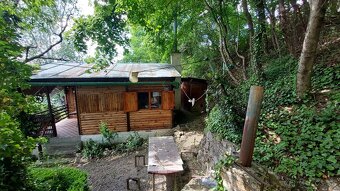 ZÁHRADNA CHATA S VINICOU, JABLONOV NAD TURŇOU - 12