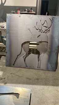 Pálenie laserom ORAVA - 12