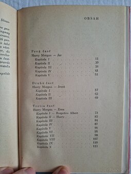 Ernest Hemingway mať a nemať - 12