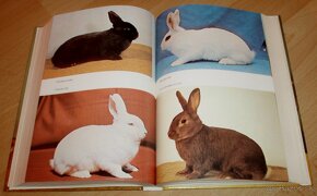 Vzorník plemen králíku - 12