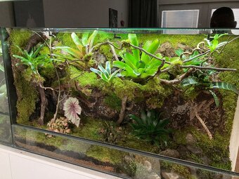Terarium - 12