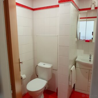 2 izbový byt nad kolonádou - 12