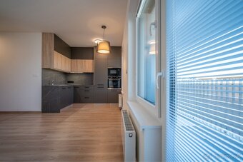 Predaj 1 izbového bytu 44 m2 , Bory Bývanie, Devínska BA - 12