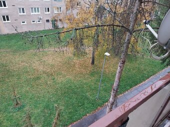 Prenájom 2 izbový byt Košice - Staré Mesto - 12