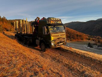 VOLVO FMX 540,LESOVOZ - 12