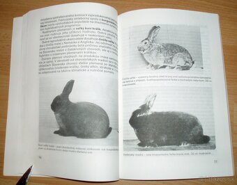 Intenzívny chov brojlerových králikov - 12